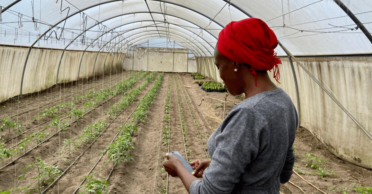 Greenhouse Farming Loans
